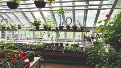 Les bienfaits de la permaculture pour votre jardin