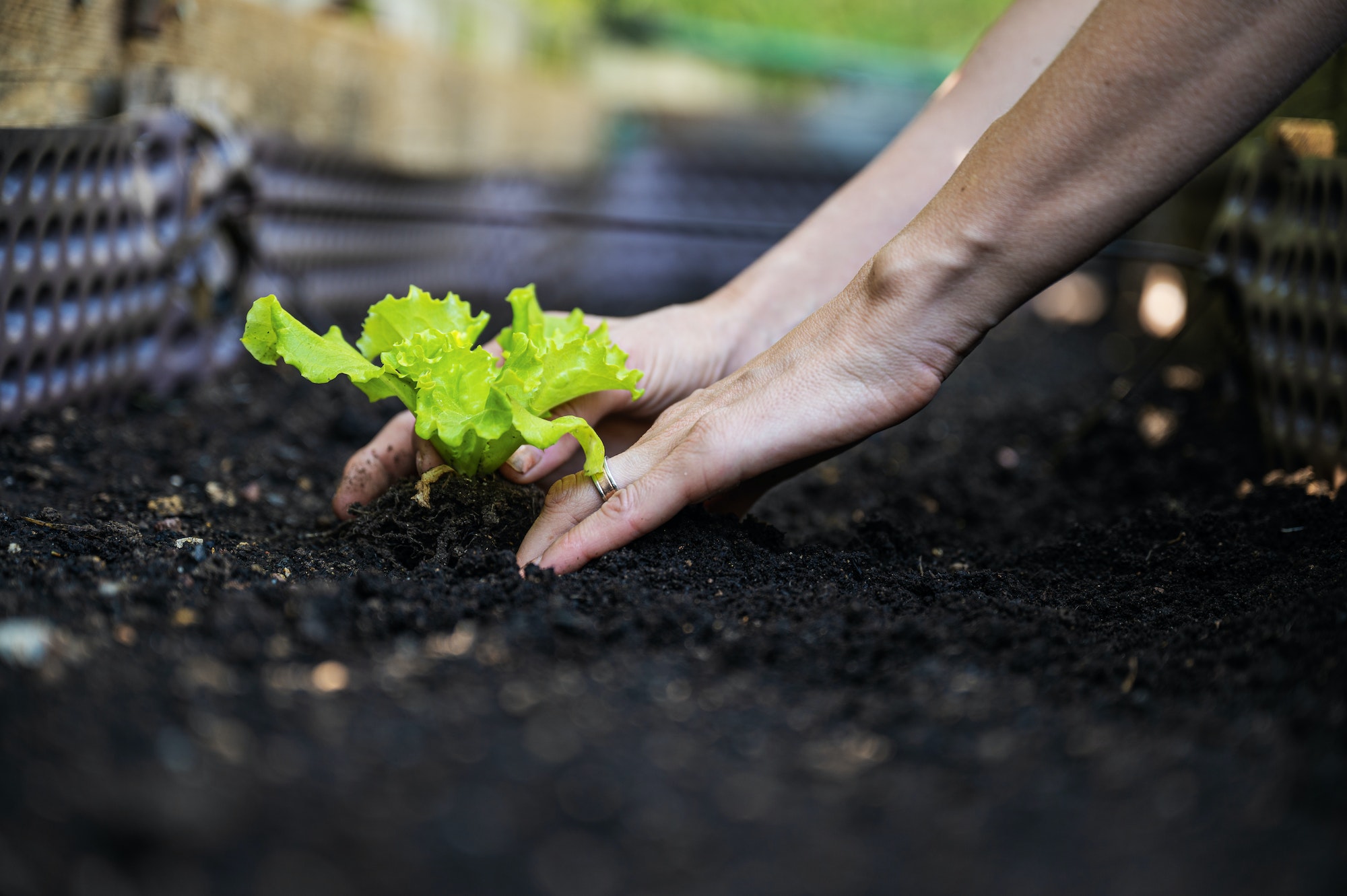 Comment R g n rer Un Sol Appauvri En Permaculture Et Cr er Un Comment R g n rer Un Sol Appauvri En Permaculture Et Cr er Un