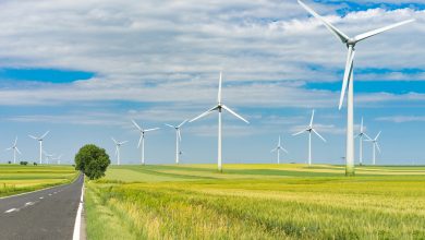 Quelle est la spécificité de l'électricité verte ?